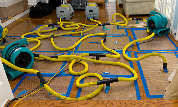 Professional Water Damage Repair technician working in East Bend, NC